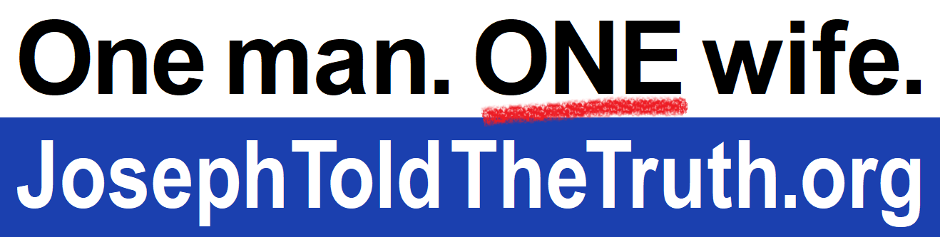 Bumper sticker &ndash; One Wife